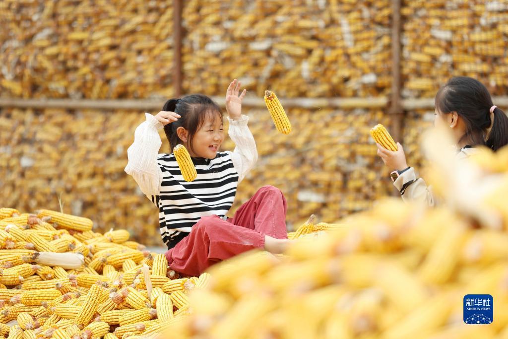 万宝娱乐